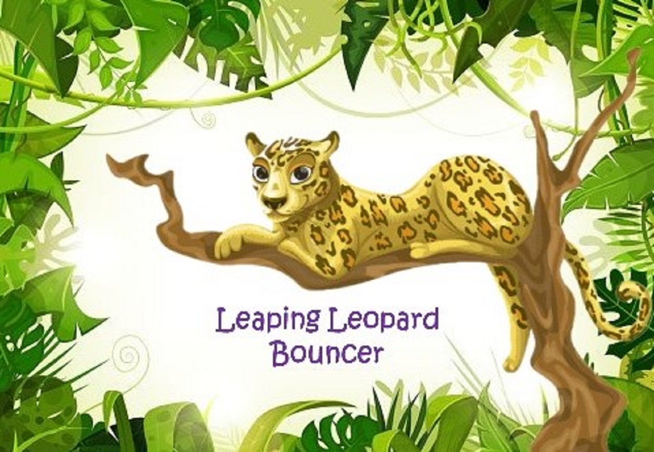 Leaping leopard bouncer 1280x884 jpg